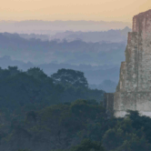 Sommet d'un temple et cime des arbres à Tikal au Guatemala