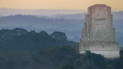 Sommet d'un temple et cime des arbres à Tikal au Guatemala