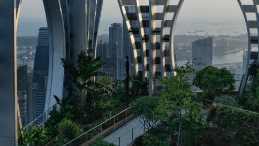 Jardin de Capita Spring à Singapour au coucher du soleil